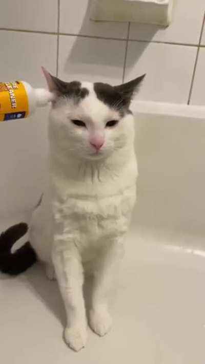 Это какие непра<wbr>вильн<wbr>ые коты
