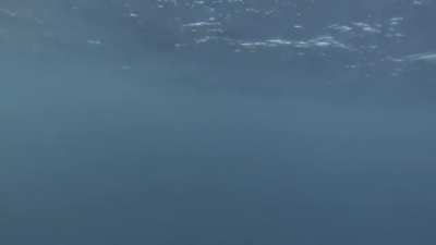 POV: you're a torpedo being launched
