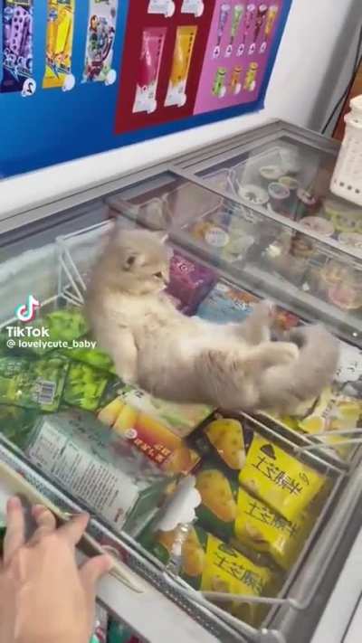 eepy freezer wunk