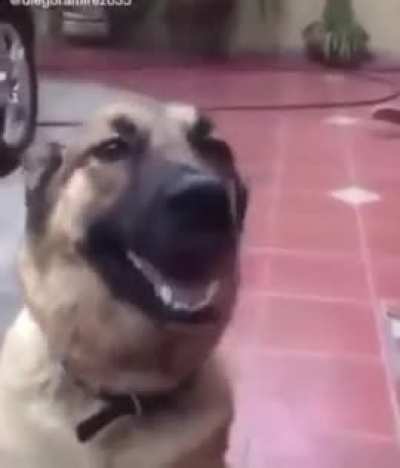 ay, gtfo of here