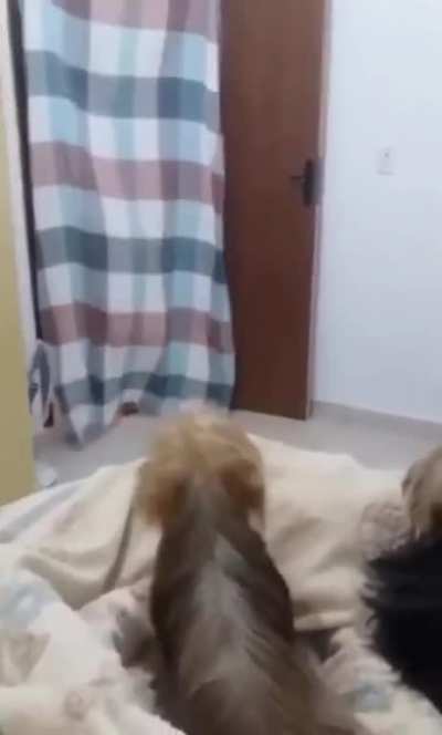 Maybe maybe maybe