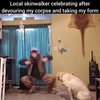 look at em go!