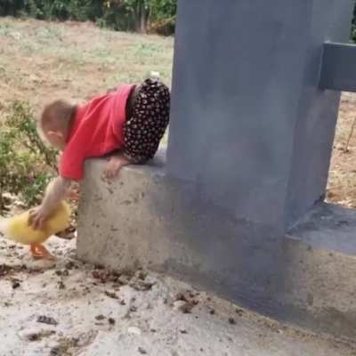 Monkey and Duck