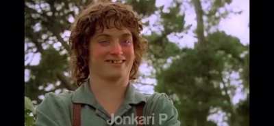 Frodo drunk off his own wine