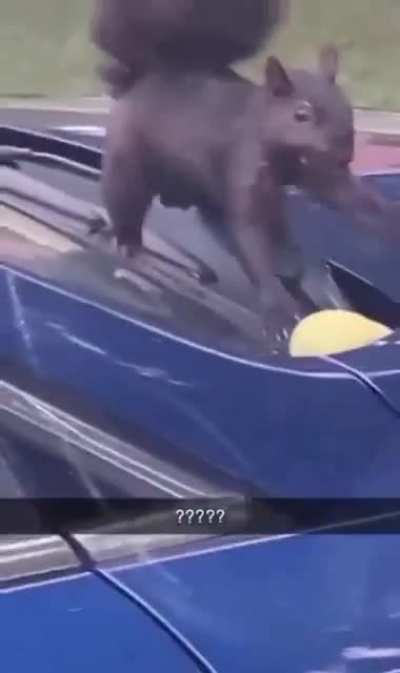 The AI for the fauna is so realistic