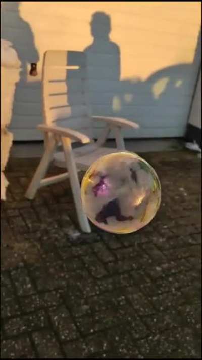 Bubbles freezing