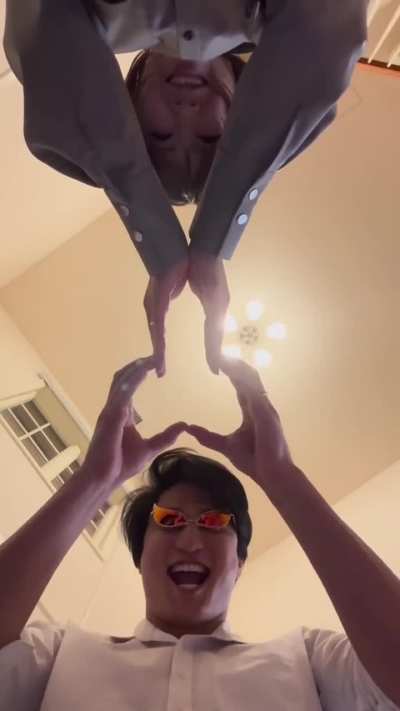 🦩