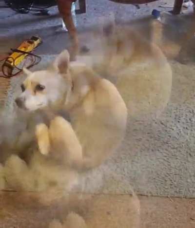Let it riiiiiiip!
