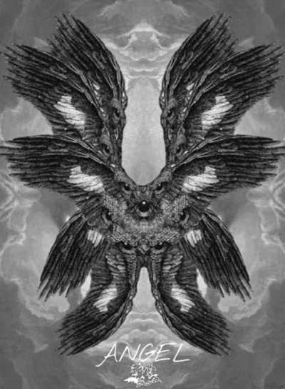 Polyphia unreleased #4 : Angel