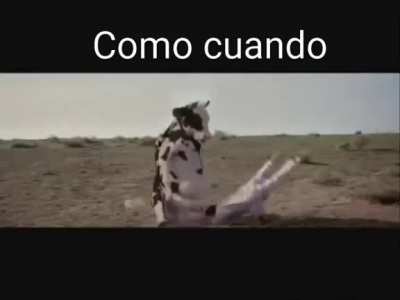 la pampa argentina