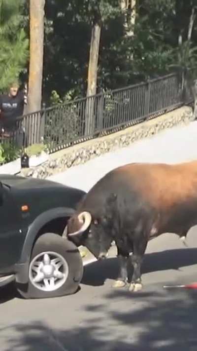 Fuck this car