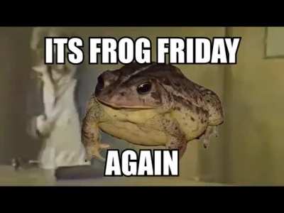 Frog Friday 😎