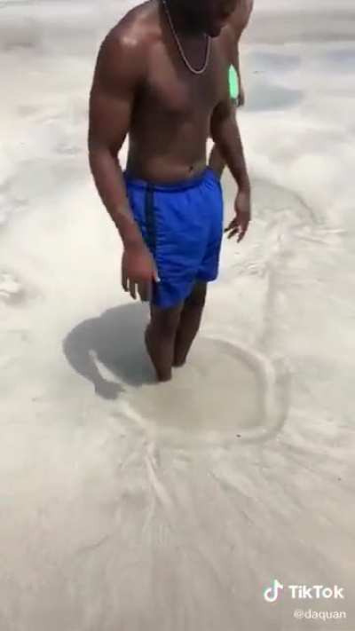 Idk what to put here