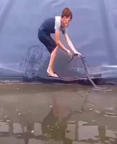That's not a snake