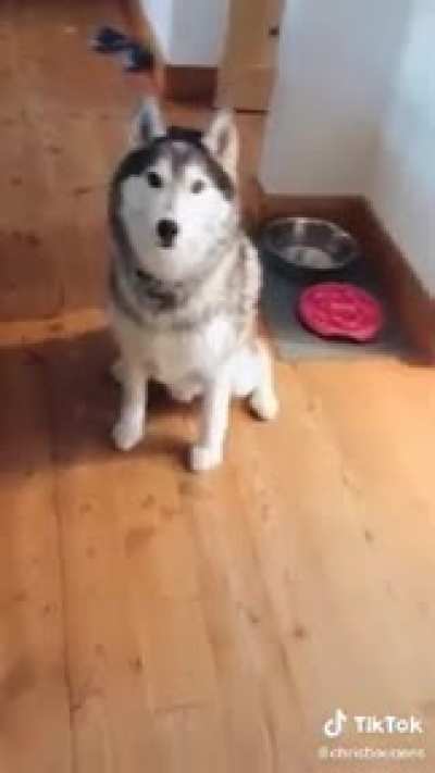 Alexa, play Piano Man