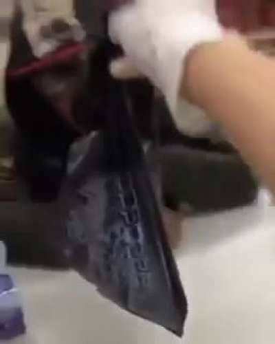 Put it in the bag