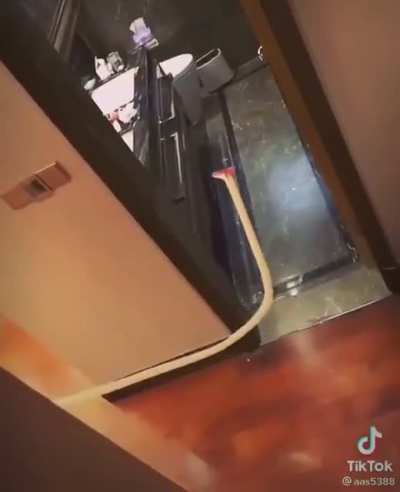 Chinese TikTok cringe hits differently.