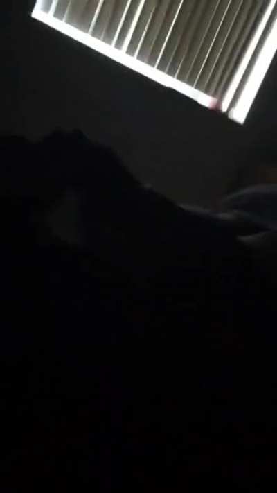 rare carti and ian fight