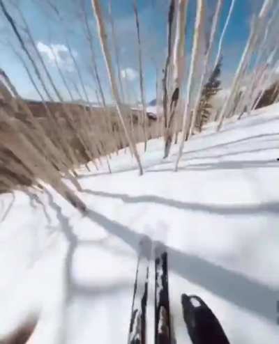 imagine one of those trees goes right between his skis... 😬. ⛷: Richard Permin
