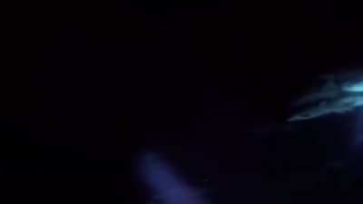 Welcome to the Circus, Maldives - night dive with a lot of sharks