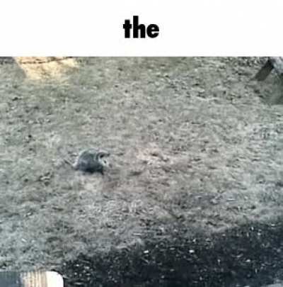 the