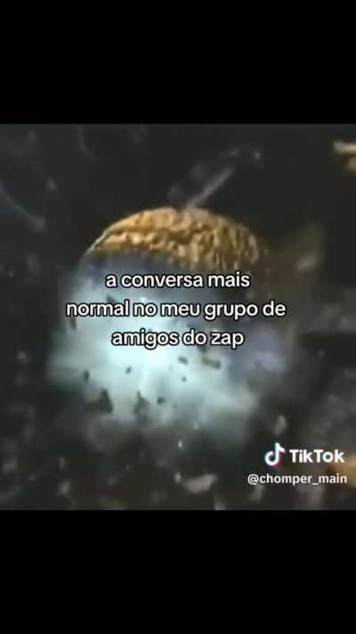calma eggman