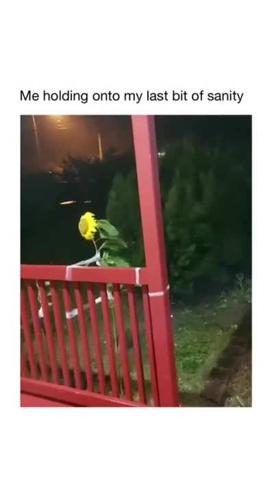meirl