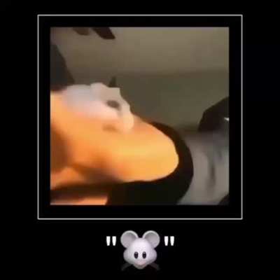 Pedo😈