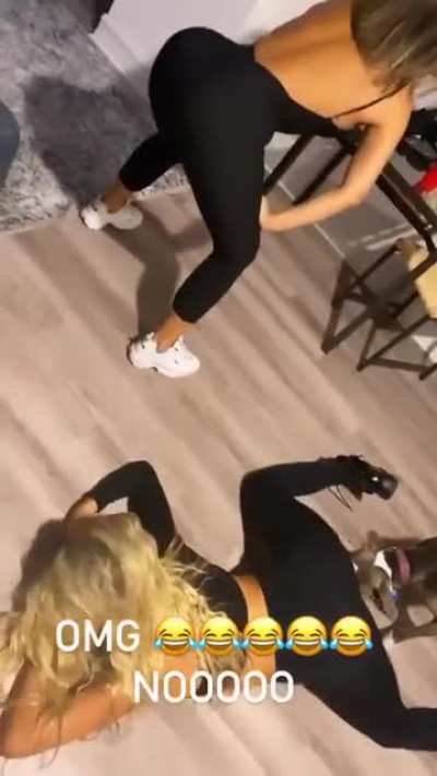 Lucky dog