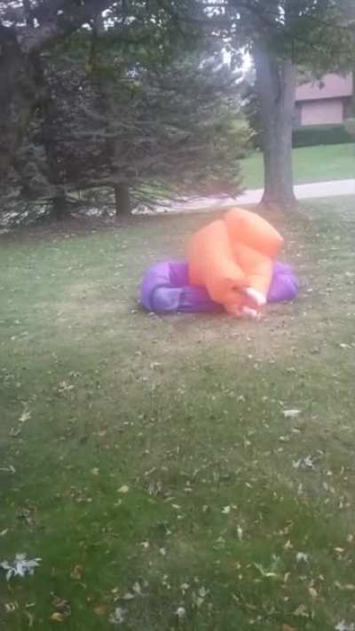 The 