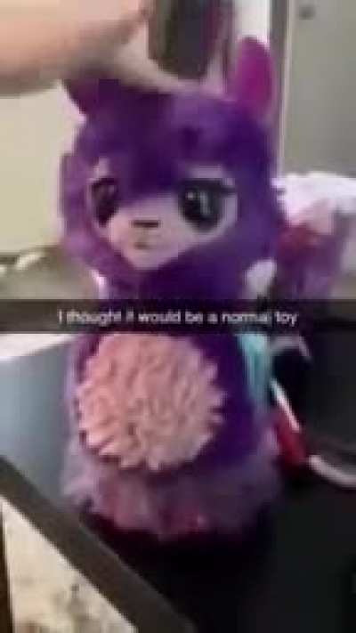 I thought it would be a Normal Toy