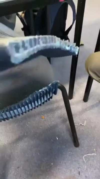mf went goodnight and chair said buh bye