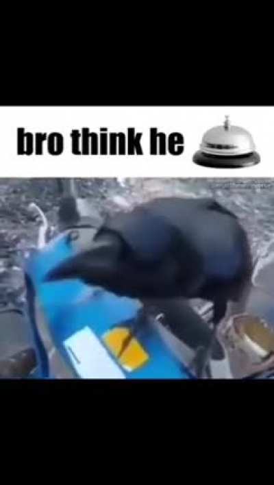 🛎️Rule🛎️