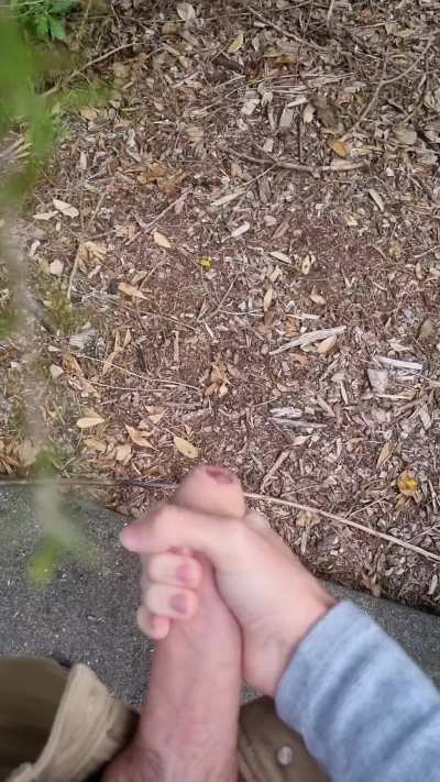Public park cum