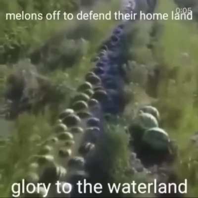 My melon people need me