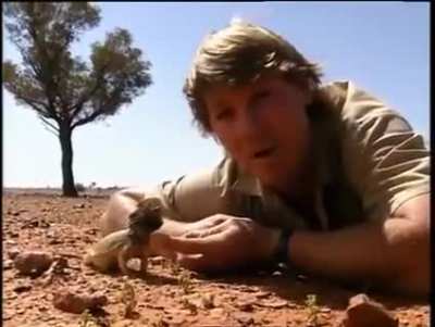 Steve Irwin was a funny man