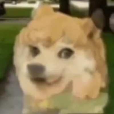 Chie no
