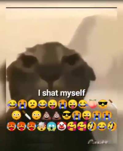 pissing gentlrmen