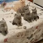 One big happy family ♥...