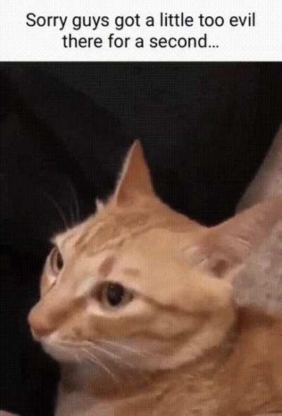 D: