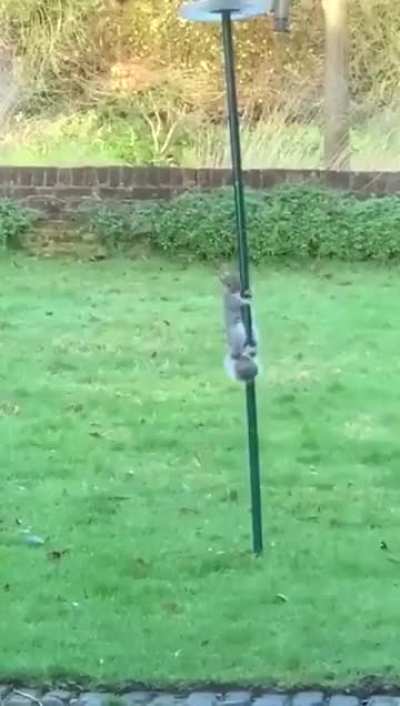 Maybe maybe maybe