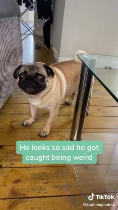Why does he look so sad :(