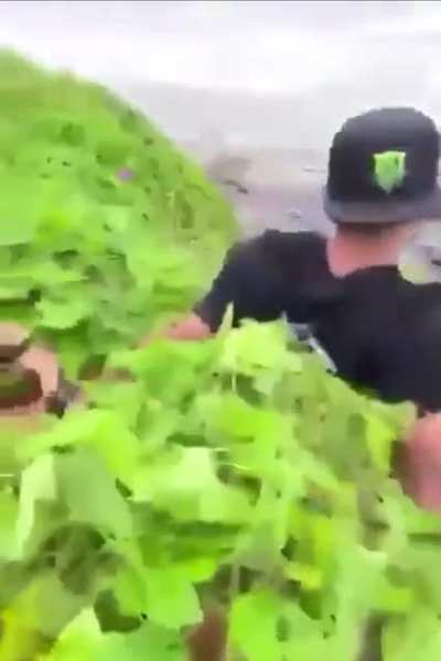 Maybe Maybe Maybe