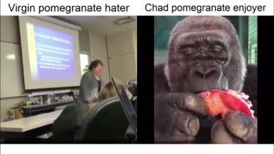 violent h*man vs peaceful monke