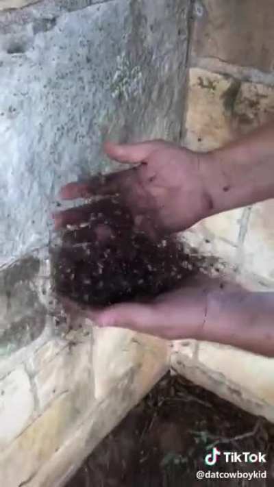 Cursed_Spiderman
