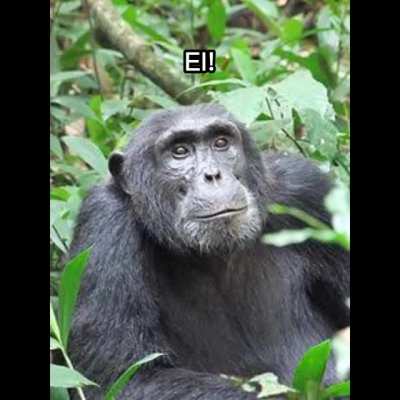 Ele cresceu 😦