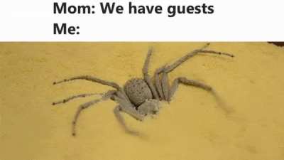 meirl