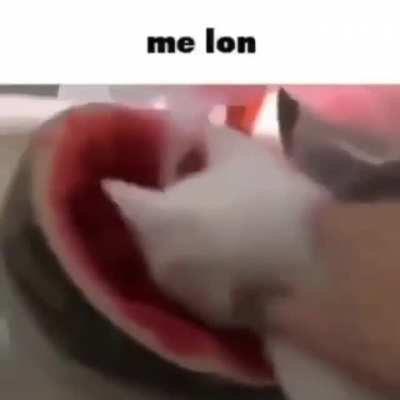 Me lon?
