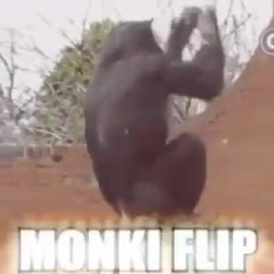 Monki Flip
