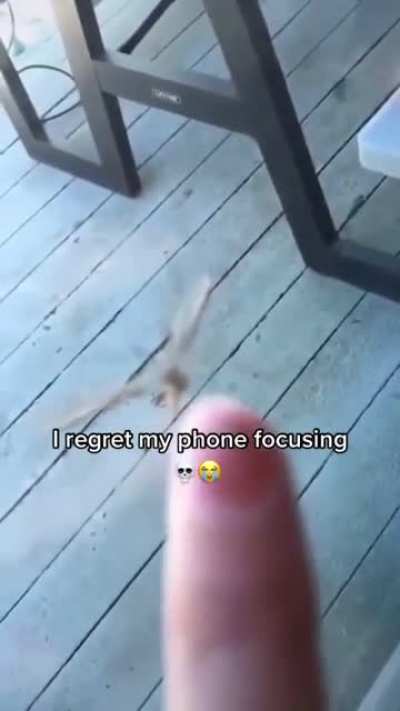 Focus on the damn mosquitoooooo
